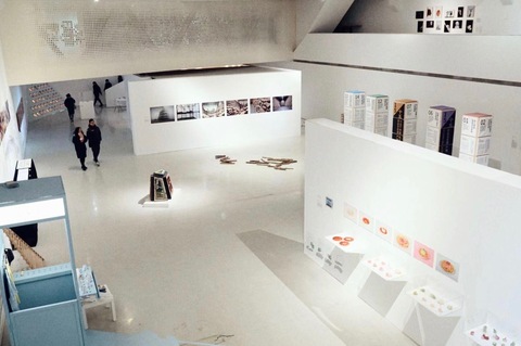 49686276_2022689731117561_7887351506574245888_n 2.jpg