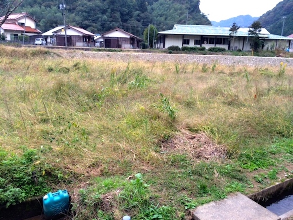 空き地.JPG