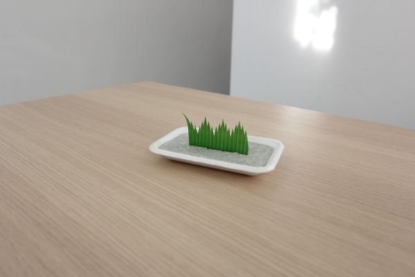 OngoingSchool-03 (1).jpg