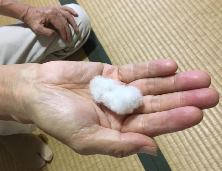 綿_450x346.jpg