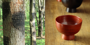 daigomachi_960.jpgのサムネイル画像