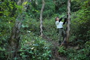 kijian tsuji prof.jpgのサムネイル画像