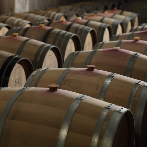 47winetourism yamagata tour.png