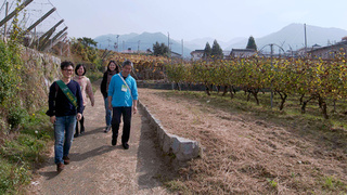 47winetourism winetourism image.jpg