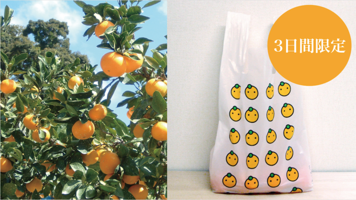 mikan_sokubai 960x540-thumb-960x541-10578.png