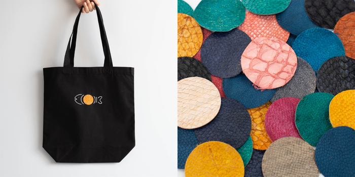 fishkeather totobag.jpg