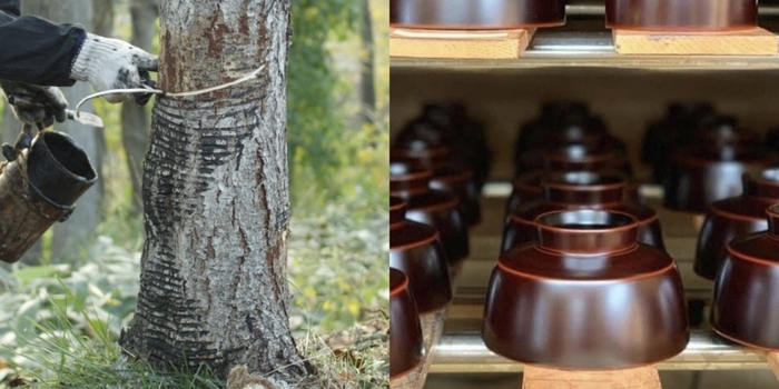 shikki tekiseisha.jpg