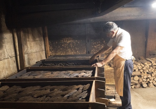 mie tour tenpaku02 1200x840.jpg