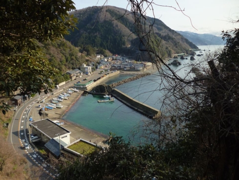 ddfukui-fb-image-490x368.jpg