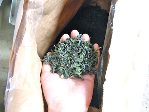 あったかかった釜炒り茶.JPG
