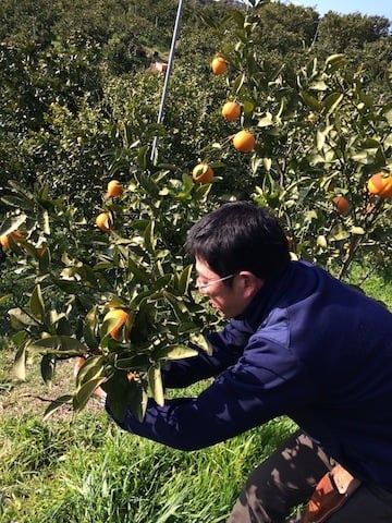 剪定する原さん.JPG