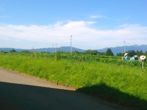 千葉からきた!.jpg