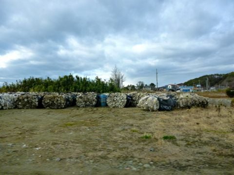 帆立.jpg