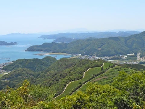 標高200m.JPG