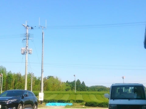 正男さんの工場からの景色.jpg