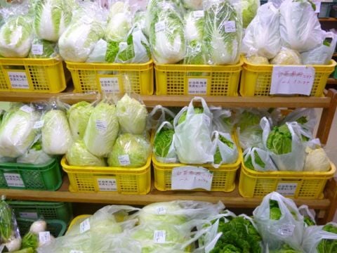 白菜小.jpg