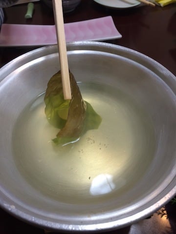 色の変わったヒロメ.JPG