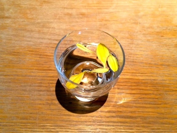 菊酒.JPG