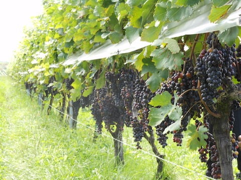 DSCN0789.JPG