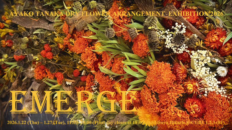 EMERGE AYAKO TANAKA DRY FLOWER ARRANGEMENT EXHIBITION 2026