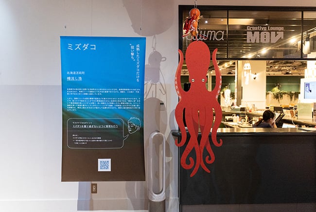 02_2025-wondering-9295