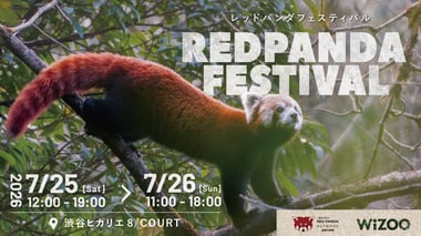 渋谷ヒカリエ8/COURT「レッドパンダフェスティバル（れっふぇす）KV
