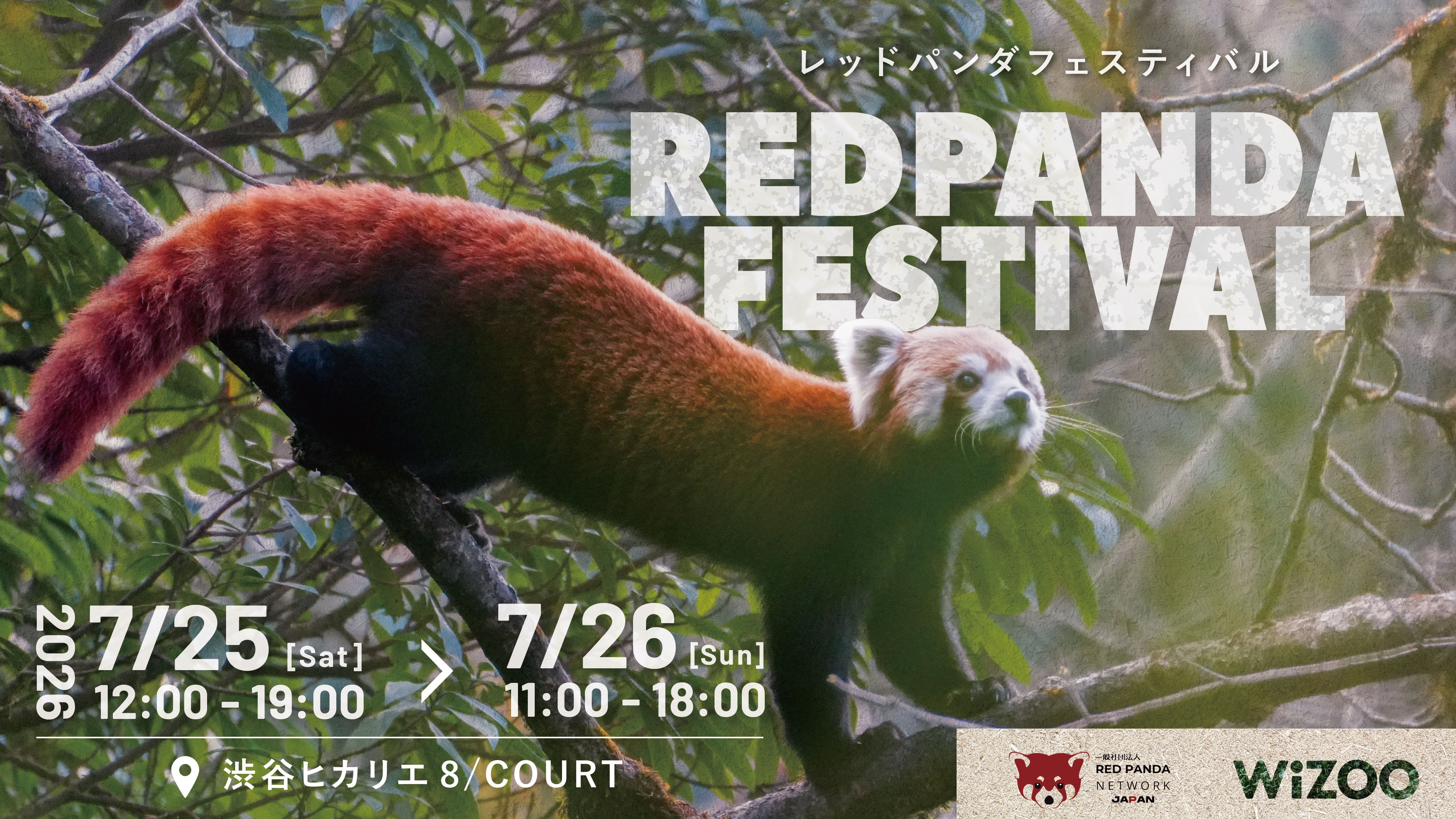 渋谷ヒカリエ8/COURT「レッドパンダフェスティバル（れっふぇす）KV